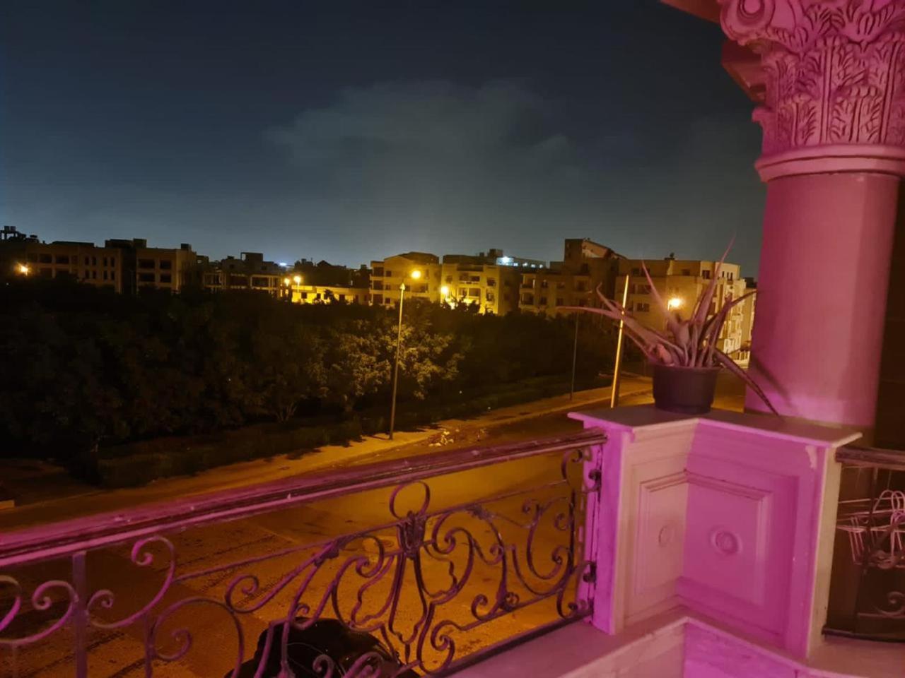 Auc Park * Cairo